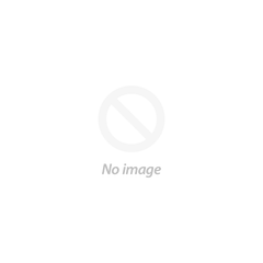 Persistent disintermediate frame